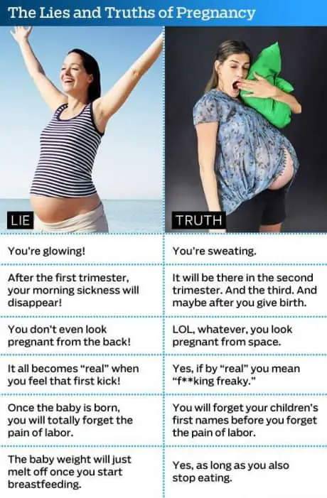 The Lies and Truths of Pregancy