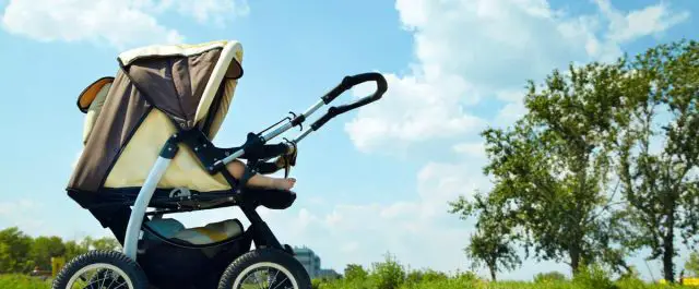 3 Best Strollers for NYC